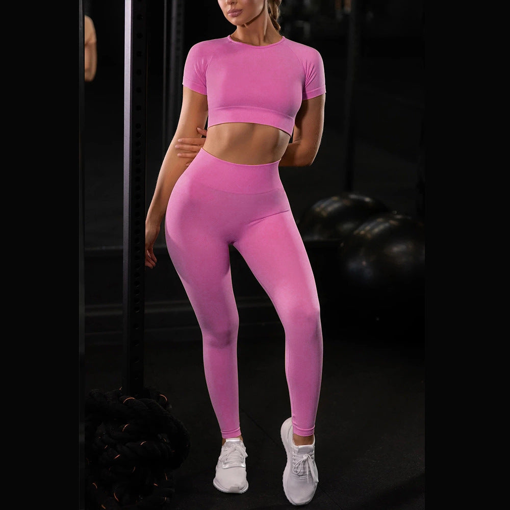 Seamless Yoga Sport Leggings & Short Sleeve Top Set