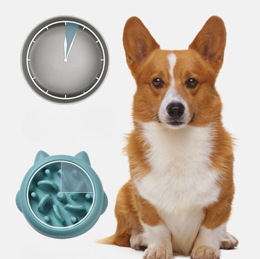 Pet Slow Feeder Anti Choking Bowl