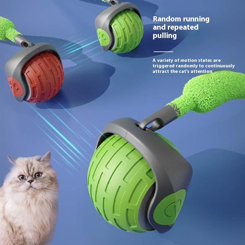 Interactive Cat Toys Auto Electric Rolling Ball USB Rechargeable