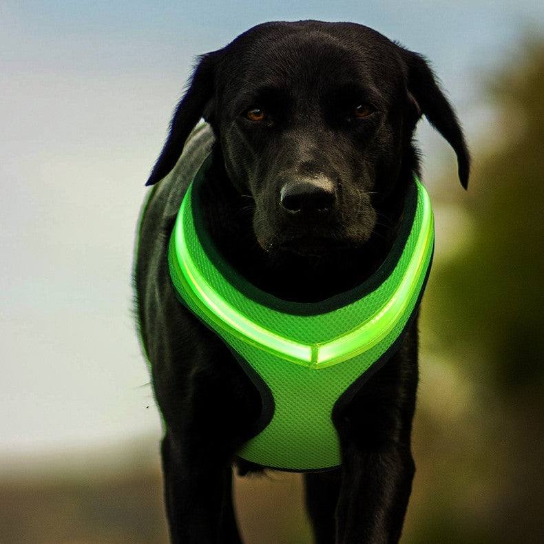 LED Luminous Pet Safety Reflective Harness