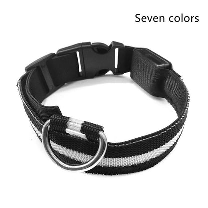 Night Safety Flashing Glow in Dark Rechargeable LED Luminous Pet Collar