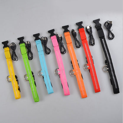 Night Safety Flashing Glow in Dark Rechargeable LED Luminous Pet Collar