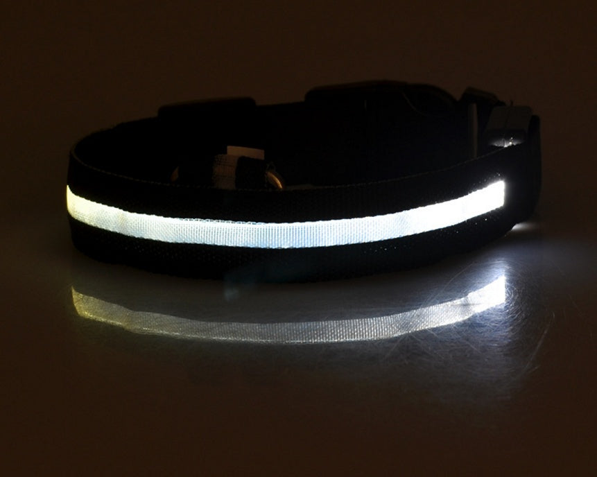 Night Safety Flashing Glow in Dark Rechargeable LED Luminous Pet Collar