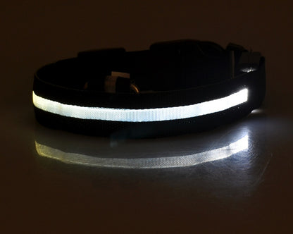 Night Safety Flashing Glow in Dark Rechargeable LED Luminous Pet Collar