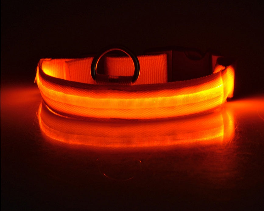 Night Safety Flashing Glow in Dark Rechargeable LED Luminous Pet Collar