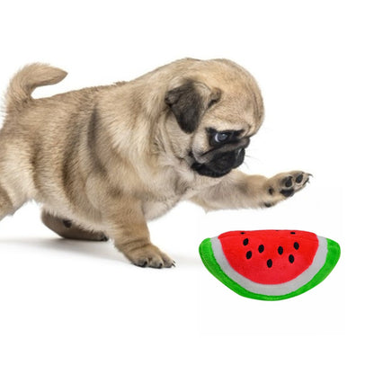 Plush Pet Toys, Fruits, Cartoons, Food