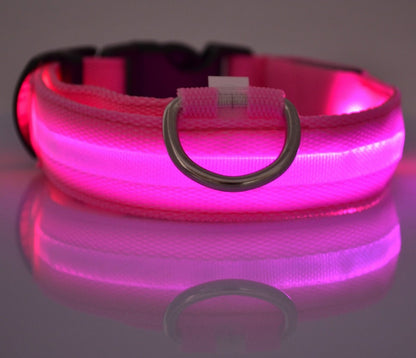 Night Safety Flashing Glow in Dark Rechargeable LED Luminous Pet Collar