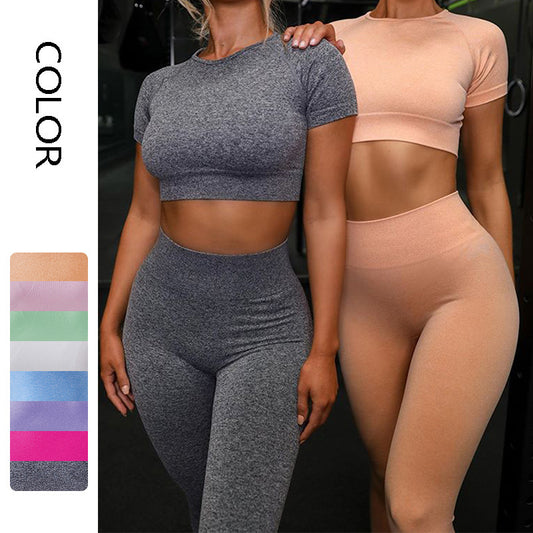 Seamless Yoga Sport Leggings & Short Sleeve Top Set