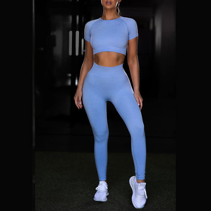 Seamless Yoga Sport Leggings & Short Sleeve Top Set