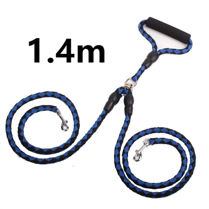 Double-Ended Two Leash Collar