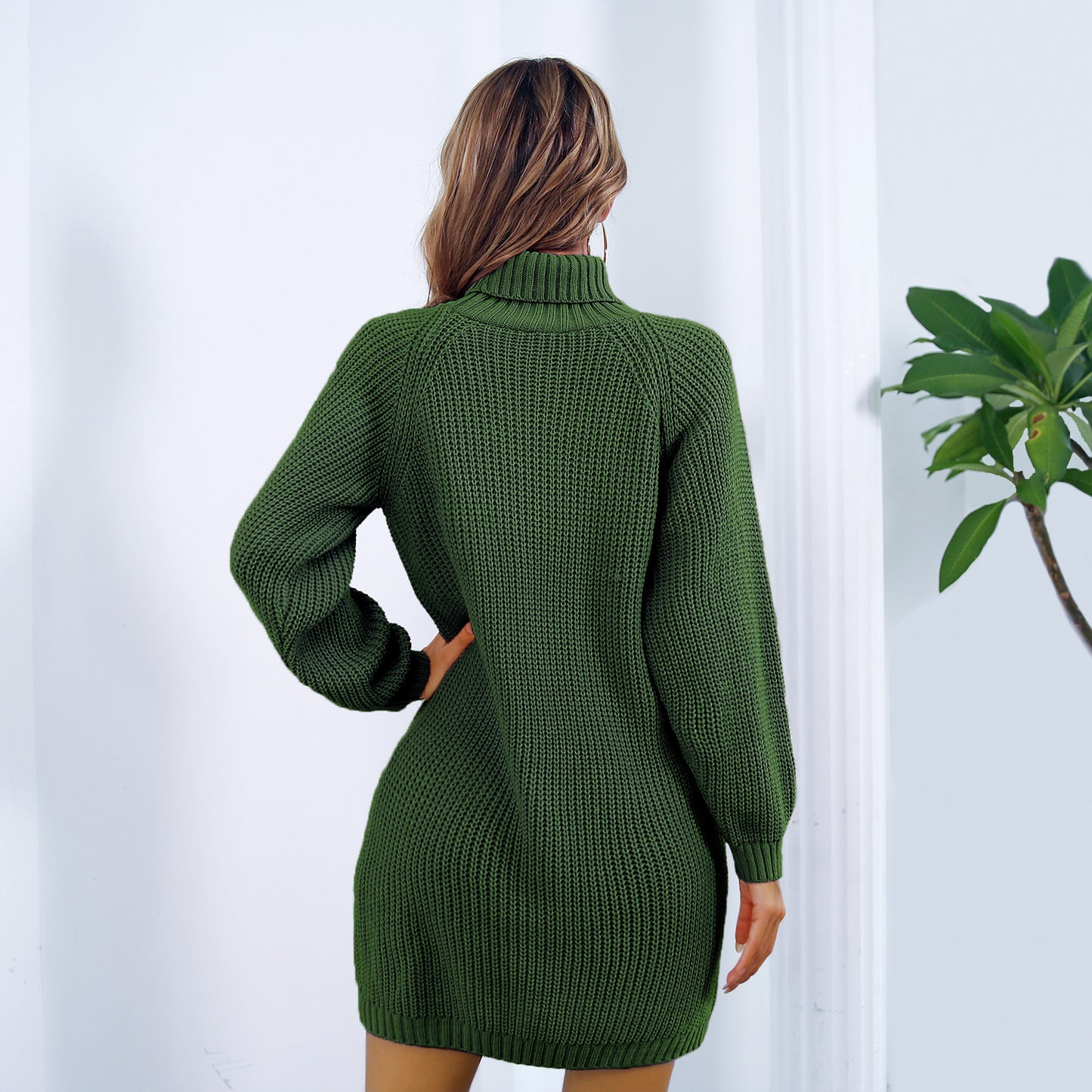 Women's Turtleneck Long Sweater Dress
