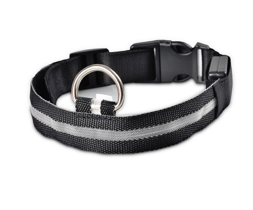 Night Safety Flashing Glow in Dark Rechargeable LED Luminous Pet Collar