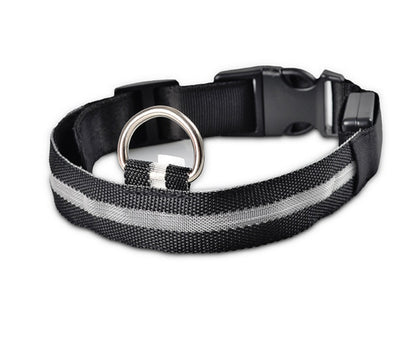 Night Safety Flashing Glow in Dark Rechargeable LED Luminous Pet Collar