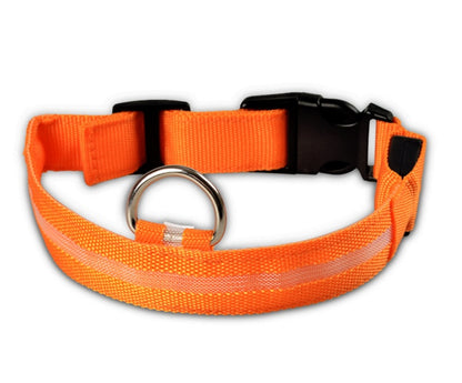 Night Safety Flashing Glow in Dark Rechargeable LED Luminous Pet Collar