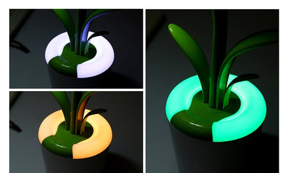 Modern Desk Lights USB Table Lamp