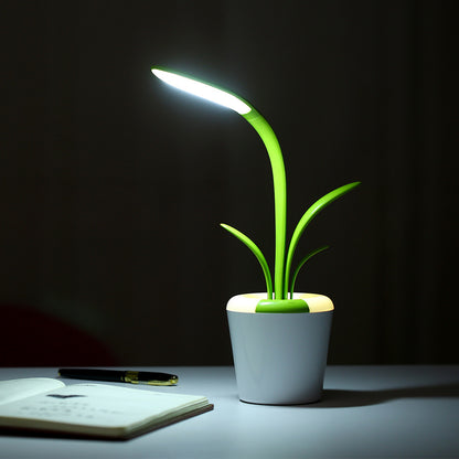 Modern Desk Lights USB Table Lamp