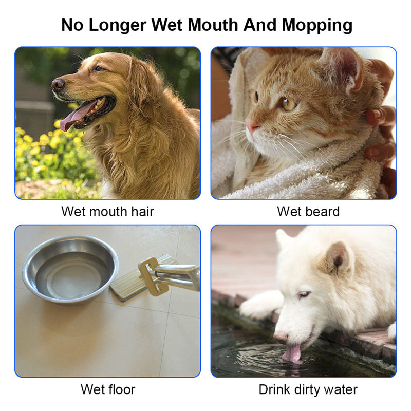 Cat & Dog Anti-Overflow No Spill Water Bowl