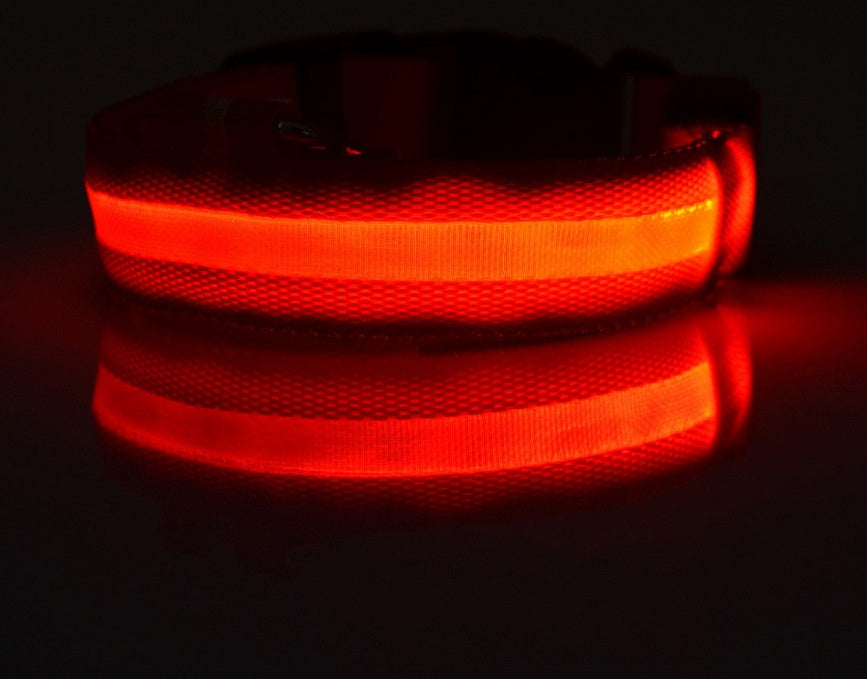 Night Safety Flashing Glow in Dark Rechargeable LED Luminous Pet Collar
