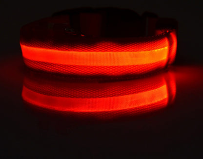 Night Safety Flashing Glow in Dark Rechargeable LED Luminous Pet Collar