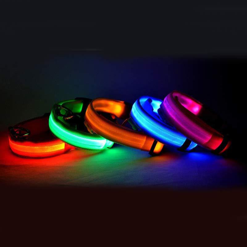Night Safety Flashing Glow in Dark Rechargeable LED Luminous Pet Collar