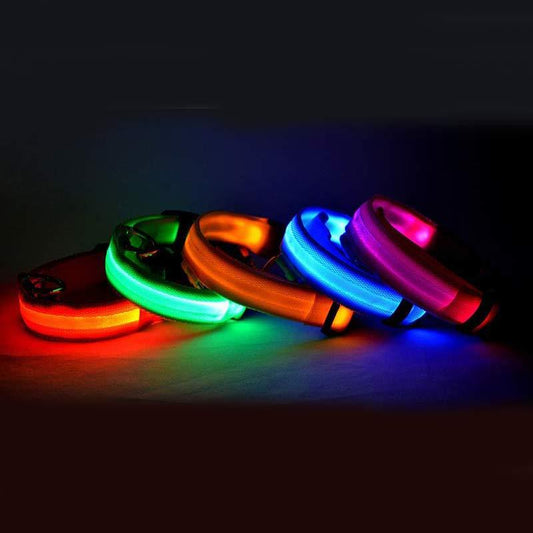 Night Safety Flashing Glow in Dark Rechargeable LED Luminous Pet Collar