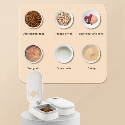 Automatic Stainless Steel Smart Food Dispenser Bowl