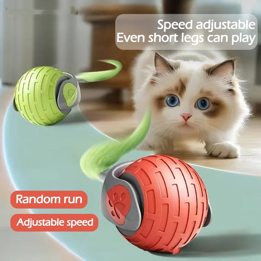 Interactive Cat Toys Auto Electric Rolling Ball USB Rechargeable