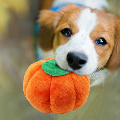 Plush Pet Toys, Fruits, Cartoons, Food