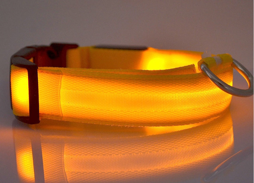 Night Safety Flashing Glow in Dark Rechargeable LED Luminous Pet Collar