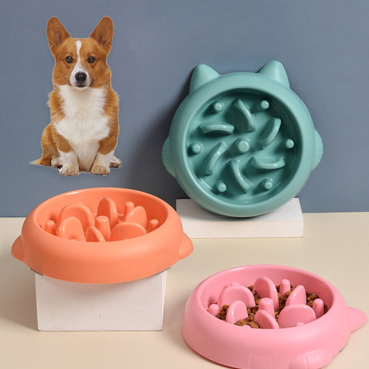 Pet Slow Feeder Anti Choking Bowl