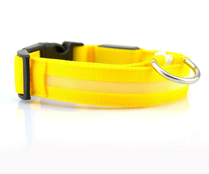 Night Safety Flashing Glow in Dark Rechargeable LED Luminous Pet Collar