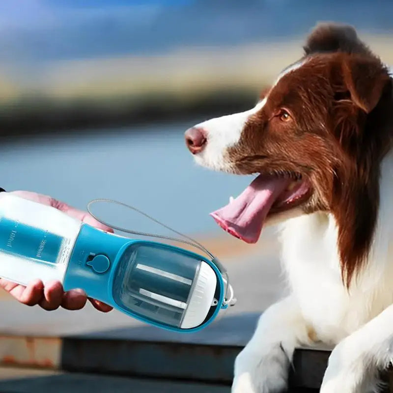 Three-in-one Portable Pet Cups Water Bottle, Food Container and Waist Bag Holder