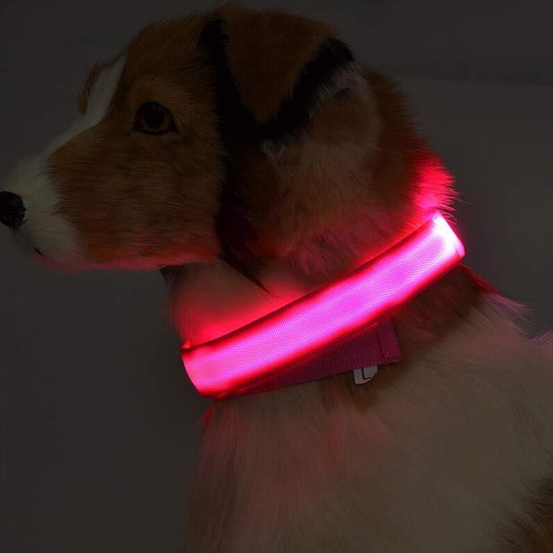 Night Safety Flashing Glow in Dark Rechargeable LED Luminous Pet Collar