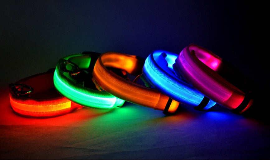 Night Safety Flashing Glow in Dark Rechargeable LED Luminous Pet Collar