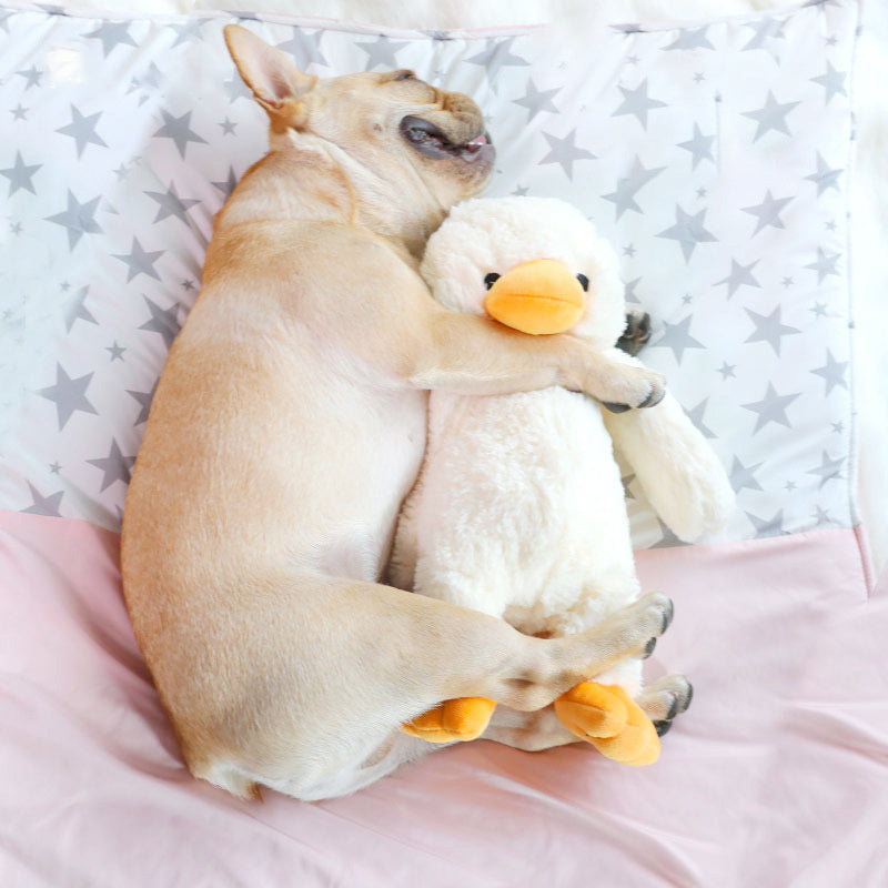 Dog Plush Toys