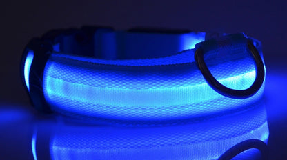 Night Safety Flashing Glow in Dark Rechargeable LED Luminous Pet Collar