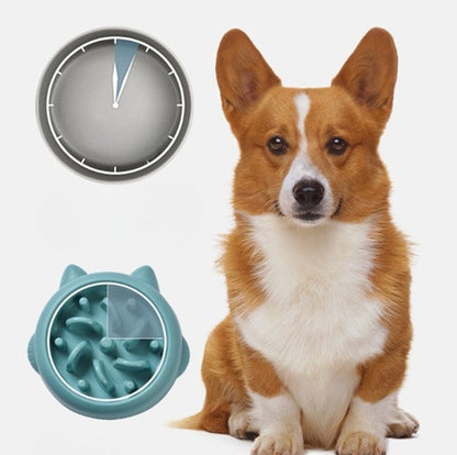 Pet Slow Feeder Anti Choking Bowl