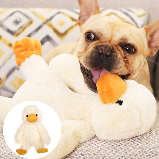 Dog Plush Toys