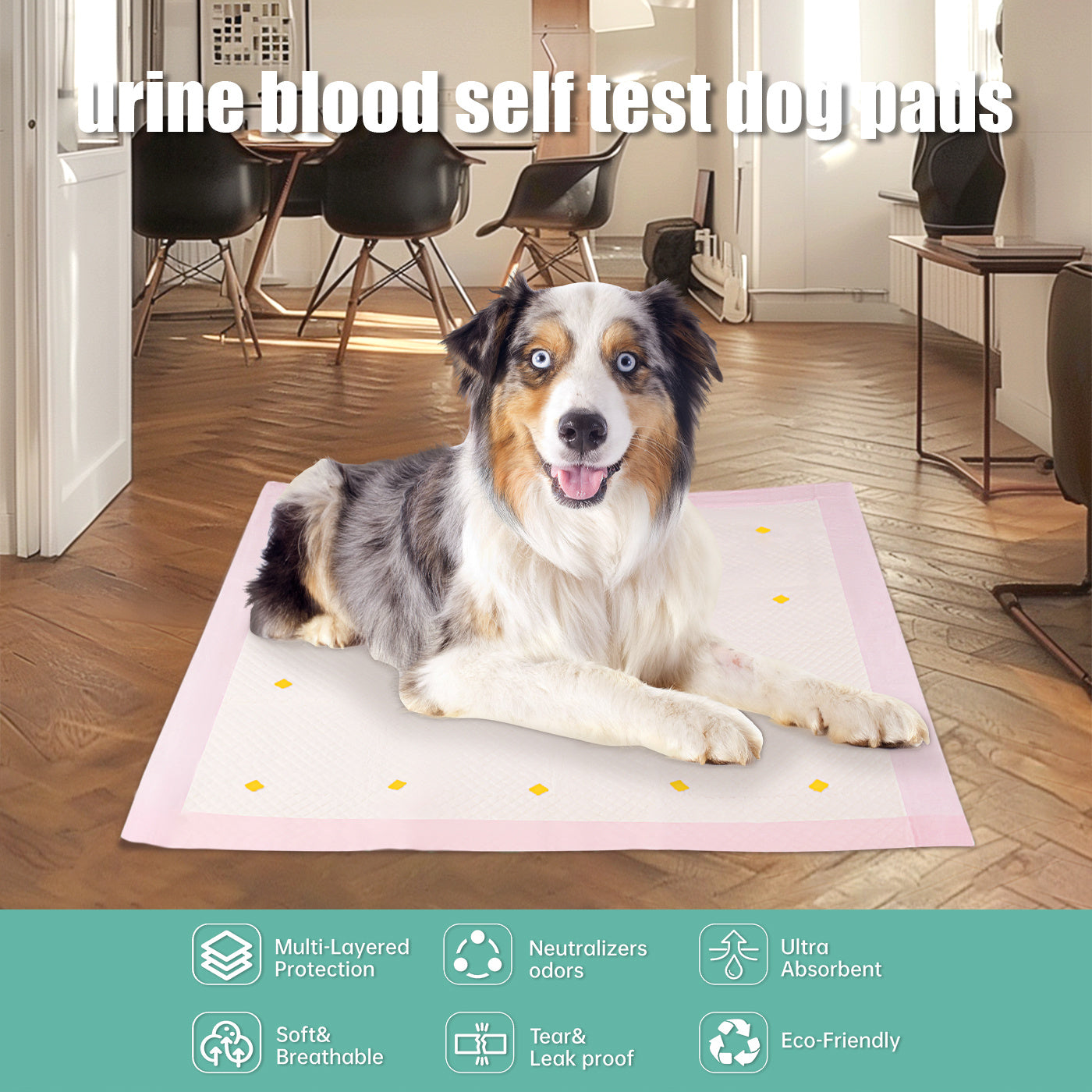 Dog Detection Urine Toilet Pad