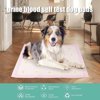 Dog Detection Urine Toilet Pad